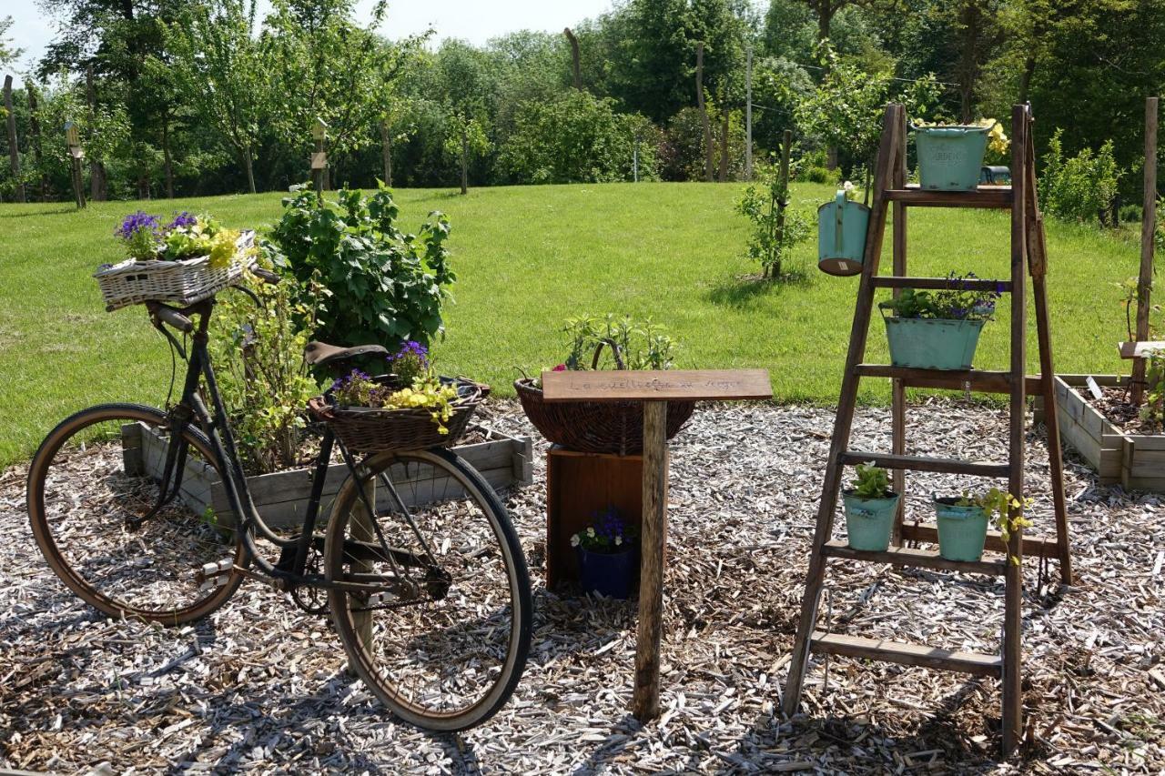 Le Manoir Des Aromes Hotel Brugny-Vaudancourt Kültér fotó